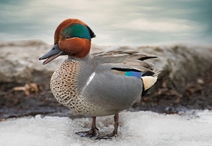 337984018 1399774560790531 8554519190260658866 n.