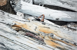 Boom Log Painting