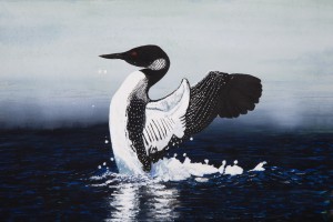 Common Loon Painting