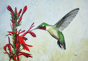 Ruby-Throated Hummingbird Painting 112