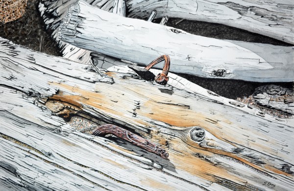 Boom Log Painting by Stephen Emms