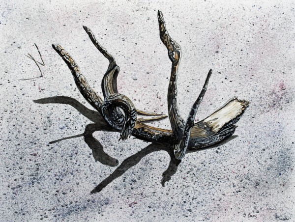 Burnt Beach Driftwood Painting by Stephen Emms