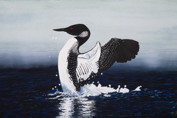 Common Loon Painting Digital Download