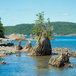 Pinnacles of Rock Print