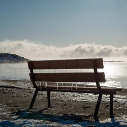 Bench Winter Morning Print