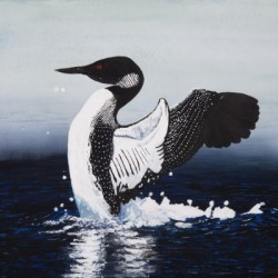 Common Loon Painting