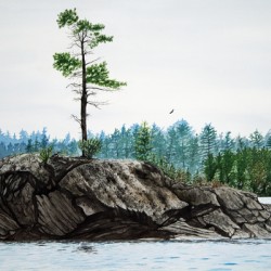 White Pine Island Painting
