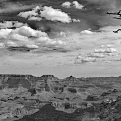  Grand Canyon Picket Print