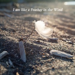 Feather in the wind Print