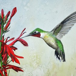 Ruby-Throated Hummingbird Painting 112