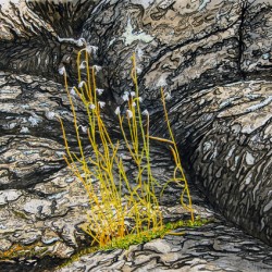 Grass and Rock Painting