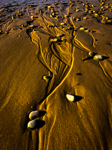 Lakeshore Channels
