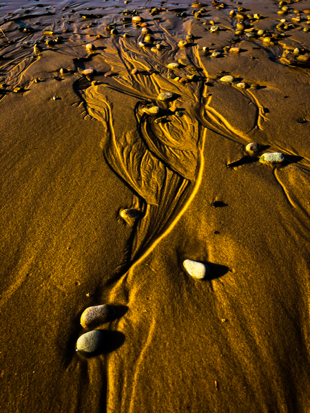 Lakeshore Channels by Cheryl Wiescamp
