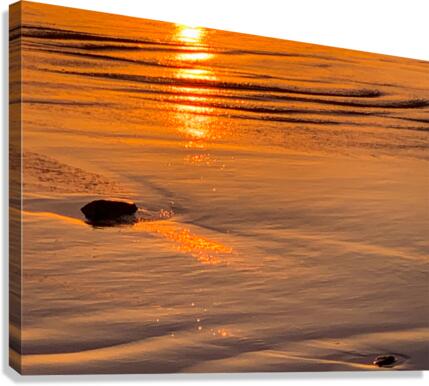 Oregon Coast Canvas Print