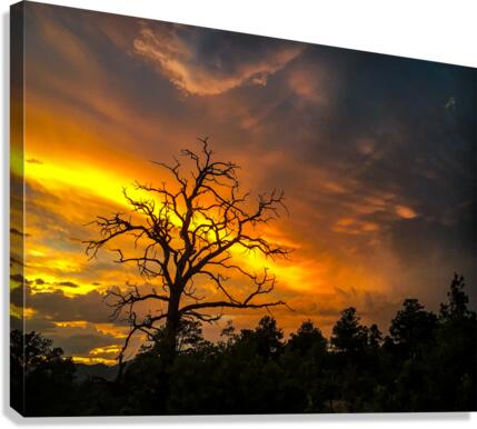 Passing Storm Canvas Print