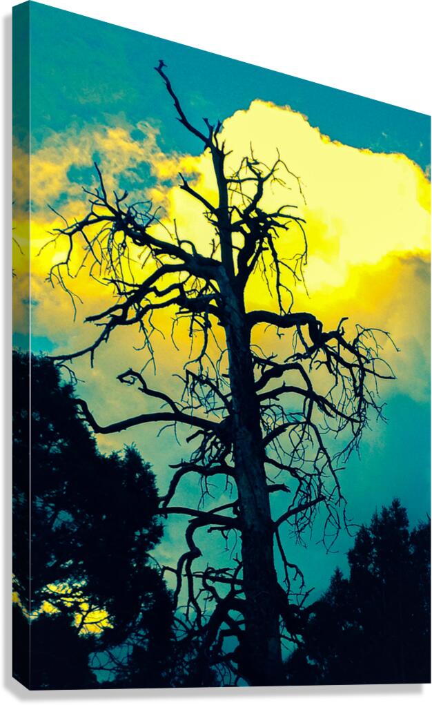Standing Giant Canvas Print