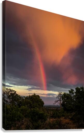 Rainbow 1 Canvas Print
