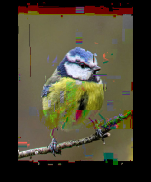 Blue Tit Pixelated Original Art by Redamber65