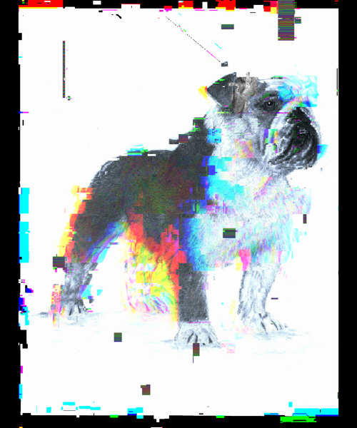 Bulldog Drawing Unique Pixel Art by Redamber65
