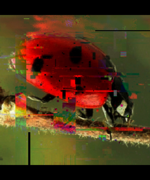 Red Ladybird Unique Pixel Abstract Art by Redamber65