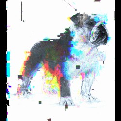 Bulldog Drawing Unique Pixel Art