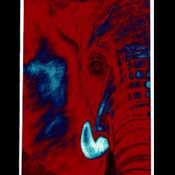 Elephant Close Up Deep Red EXCLUSIVE Art