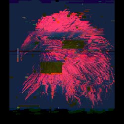 Eagle Head Unique Pixel Abstract Art