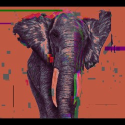 Elephant Pixelated Noir