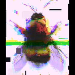 Bumble Bee Unique Pixel Abstract Art