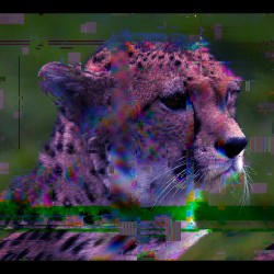 Cheetah Big Cat Unique Pixel Abstract Art