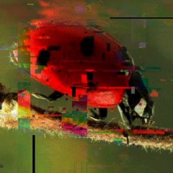 Red Ladybird Unique Pixel Abstract Art