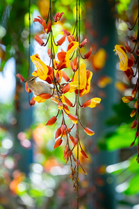 Hanging Out for Lunch