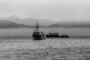 Misty Morning