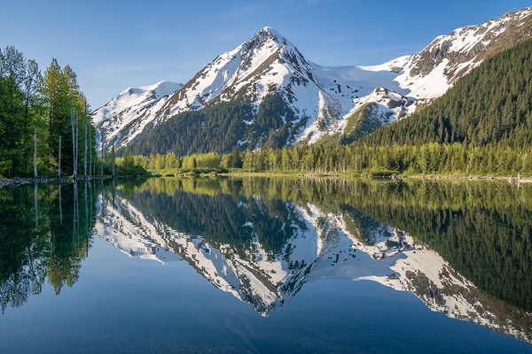 Summer Reflections Print