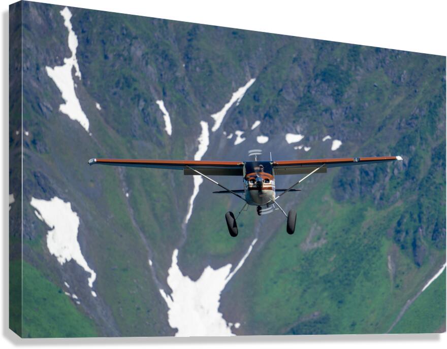 Prepare for Landing Canvas Print