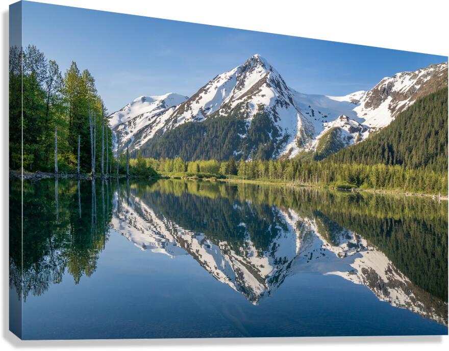 Summer Reflections Canvas Print