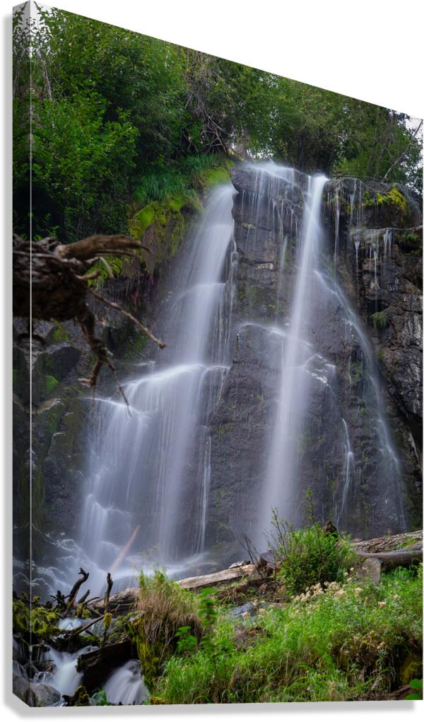 Silver Falls Canvas Print