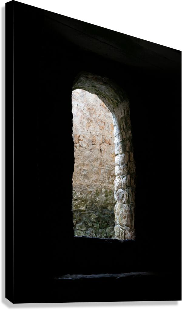 Into the Light Canvas Print