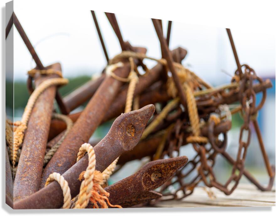 Anchored Canvas Print