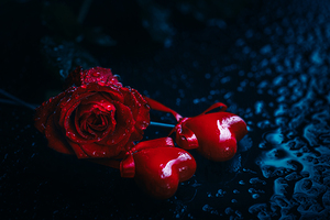 Romantic Valentines day rose and hearts card.