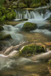 Beautiful river flow with cascades and waterfalls in spring