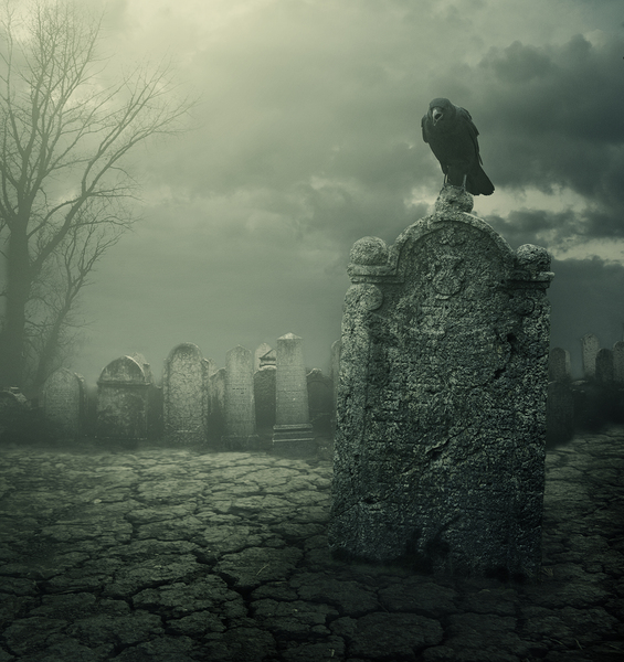 Halloween night. Tombstone with crow. by Jelena Jovanovic Fine Art