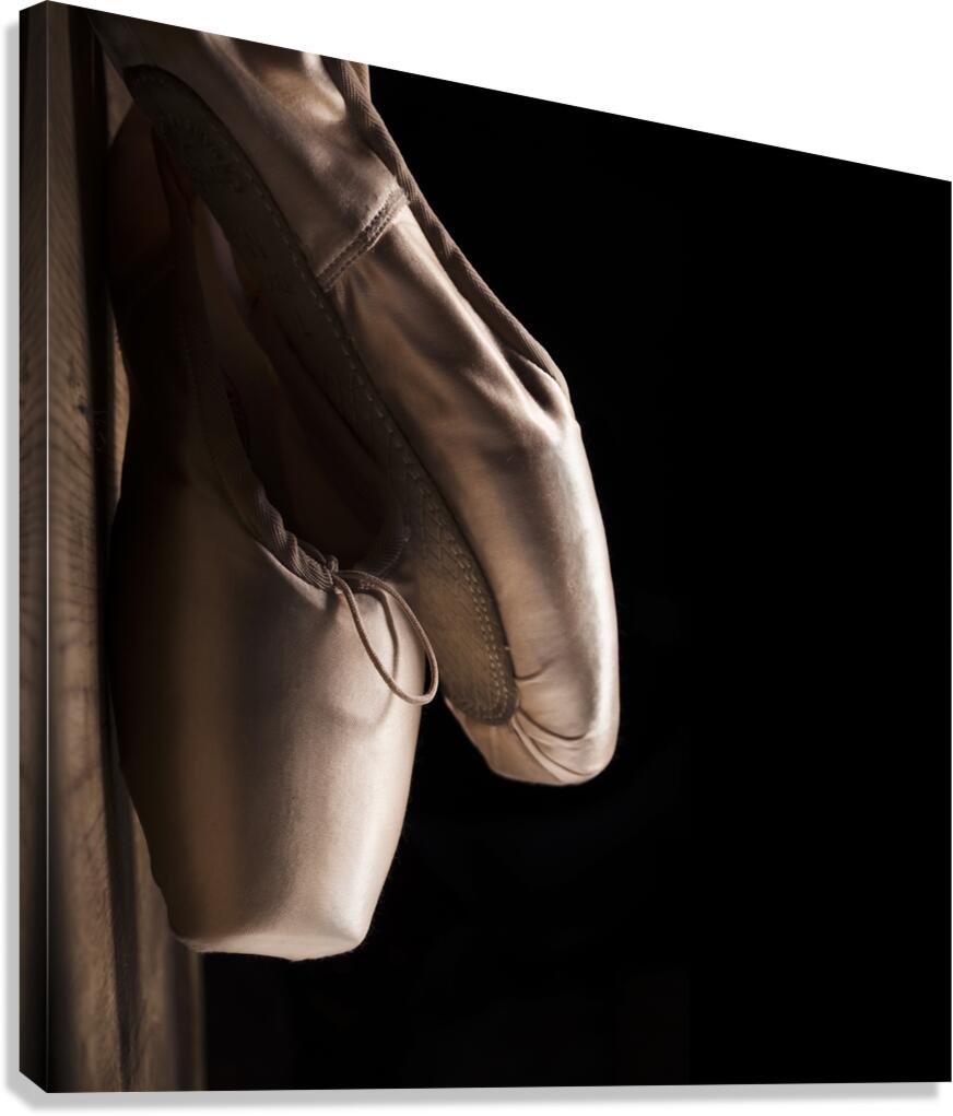 Pointe Shoes Canvas Print