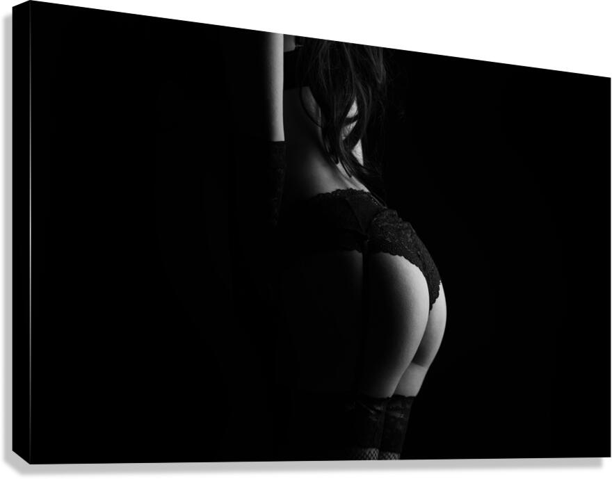Silhouette of erotic woman posing in black lingerie Canvas Print