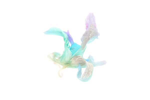 Parfum de fleur by Alain Charest