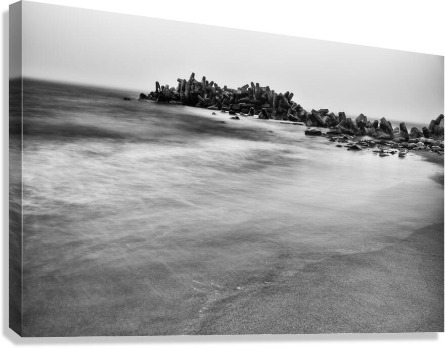 Dollos Canvas Print