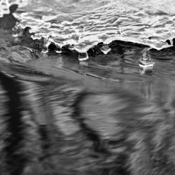 Patineur de glace