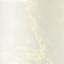 Lisiere verte VAR6246