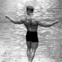 Delts on Cobblestone