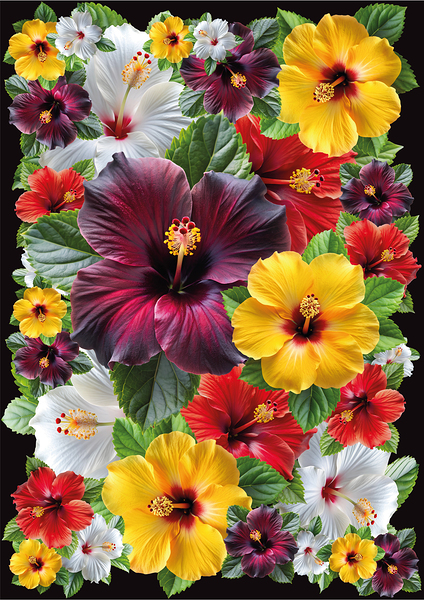 les fleures Print